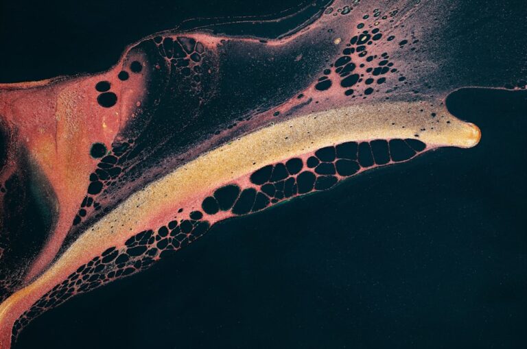 Photo biologiczny